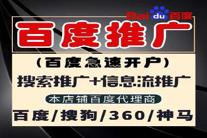 搜索引擎营销（SEM）专员的挑战与机遇